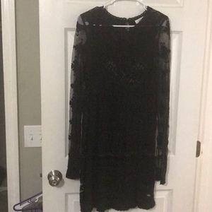 Umber lace/sheer dress